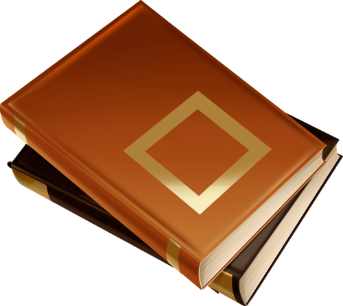 Mystery Novel