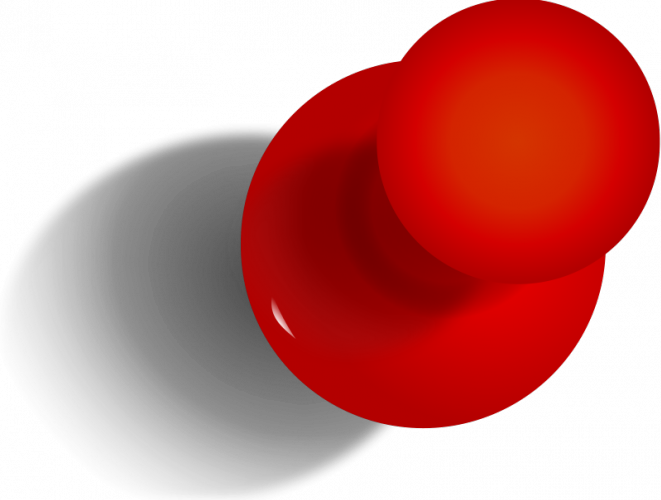 Pin